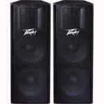 PAR DE BAFLES PEAVEY PV215