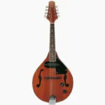 MANDOLINA ELECTROACUSTICA PALMER PM200E