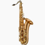 SAXOFON ALTO PALMER PAS200
