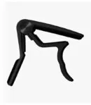 CAPODASTRO PALMER PGC250A