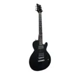 GUITARRA ELECTRICA PALMER LPS