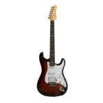 GUITARRA PALMER SPEC