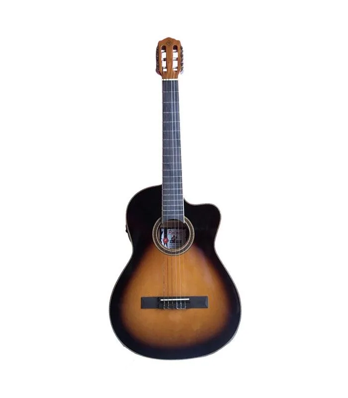 161-G-FINACEQF GUITARRA ELECTROACUSTICA PALMER FINA-CEQF - Imagen 1