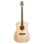 GUITARRA ACUSTICA PEAVEY   DW-2GTR