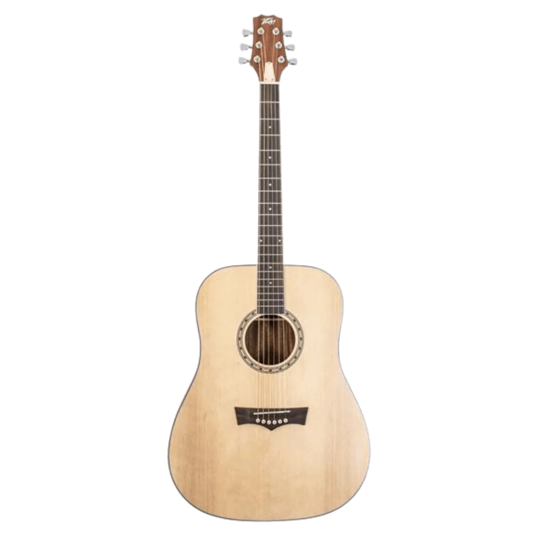 G PEAVEY ORI GUITARRA ACUSTICA PEAVEY DW-2GTR - Imagen 1