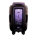 BAFLE ACTIVO LX R15A