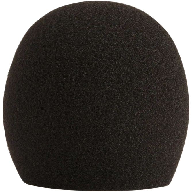 A58WS2 ESPONJA PARA MICROFONO A58WS - Imagen 1