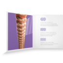 SET DE CUERDAS PARA GUITARRA ACUSTICA XSAPB1152 - Imagen 2