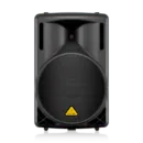 BAFLE AMPLIFICADO B215D