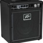 AMPLIFICADOR PARA BAJO MAX 110