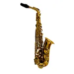 SAXOFON ALTO ROLLINS SXC 29A-L