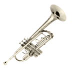 TROMPETA NIQUELADA H.HOFFER HTP100